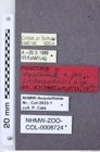 Etiketten zu Neodima sichuanensis (NHMW-ZOO-COL-0008724)